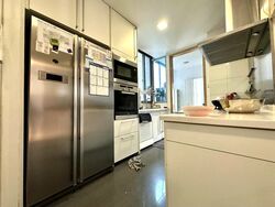 Cairnhill Crest (D9), Condominium #509711241